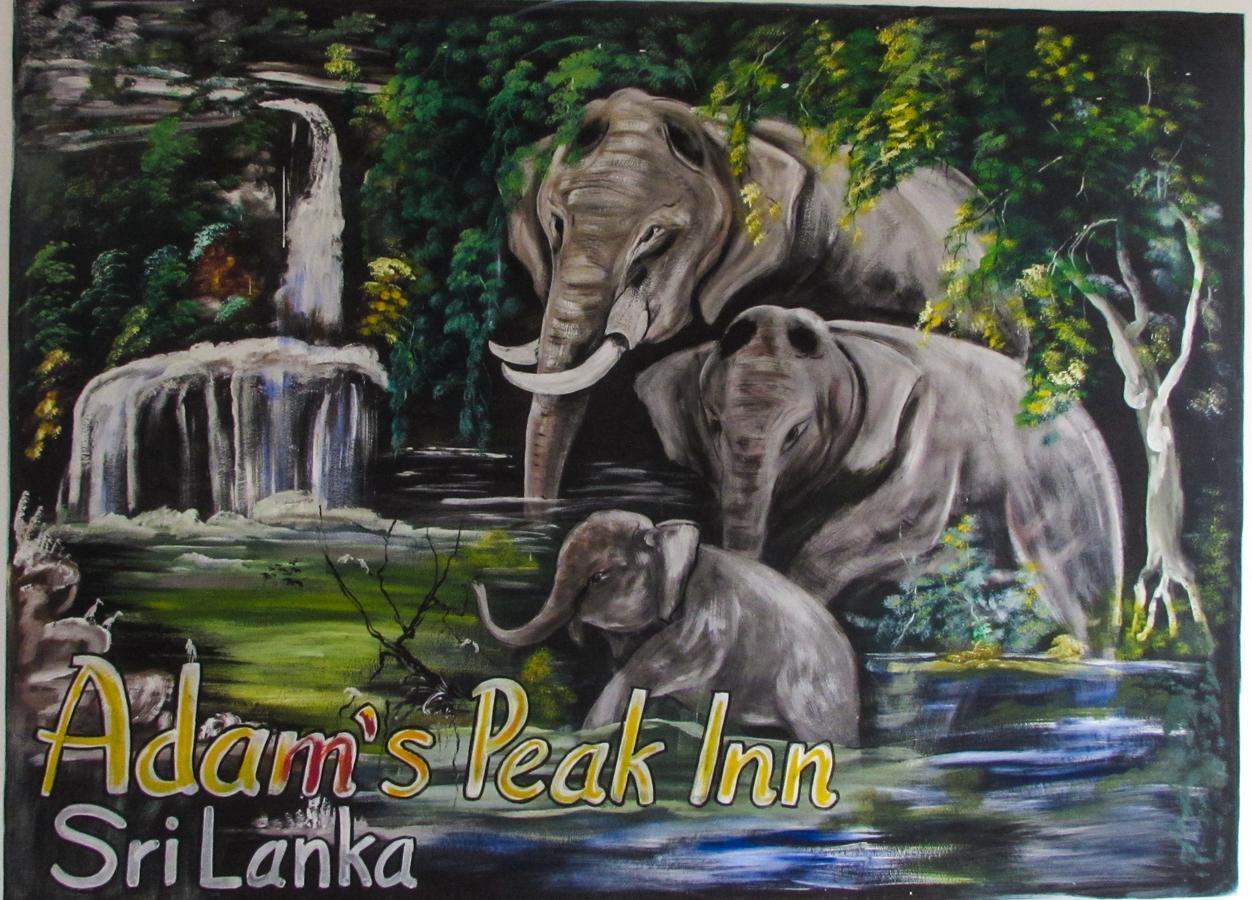 Adams Peak Inn Nallathanniya Екстериор снимка